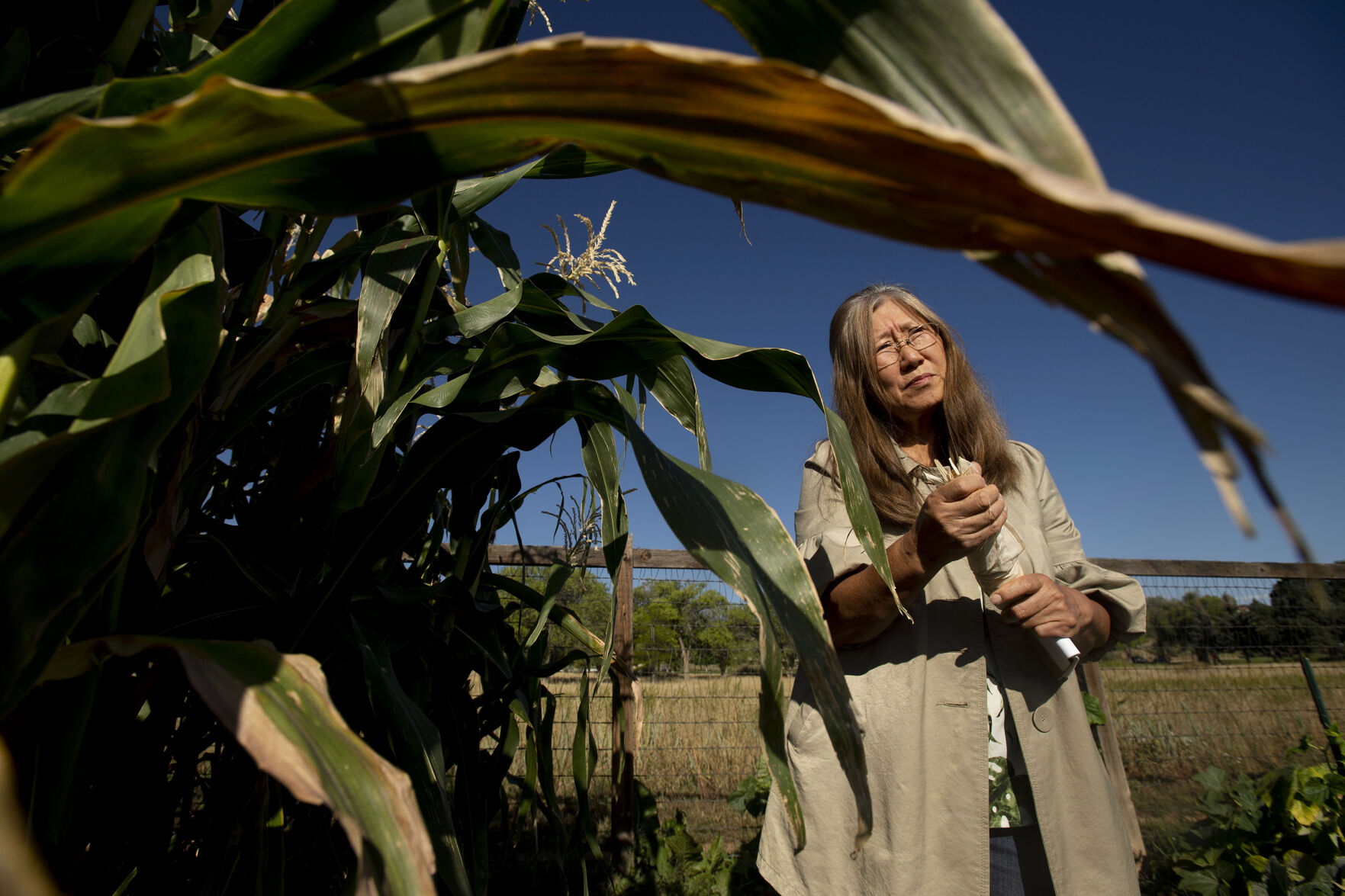 091521-news-ethnic-gardening 02.jpg